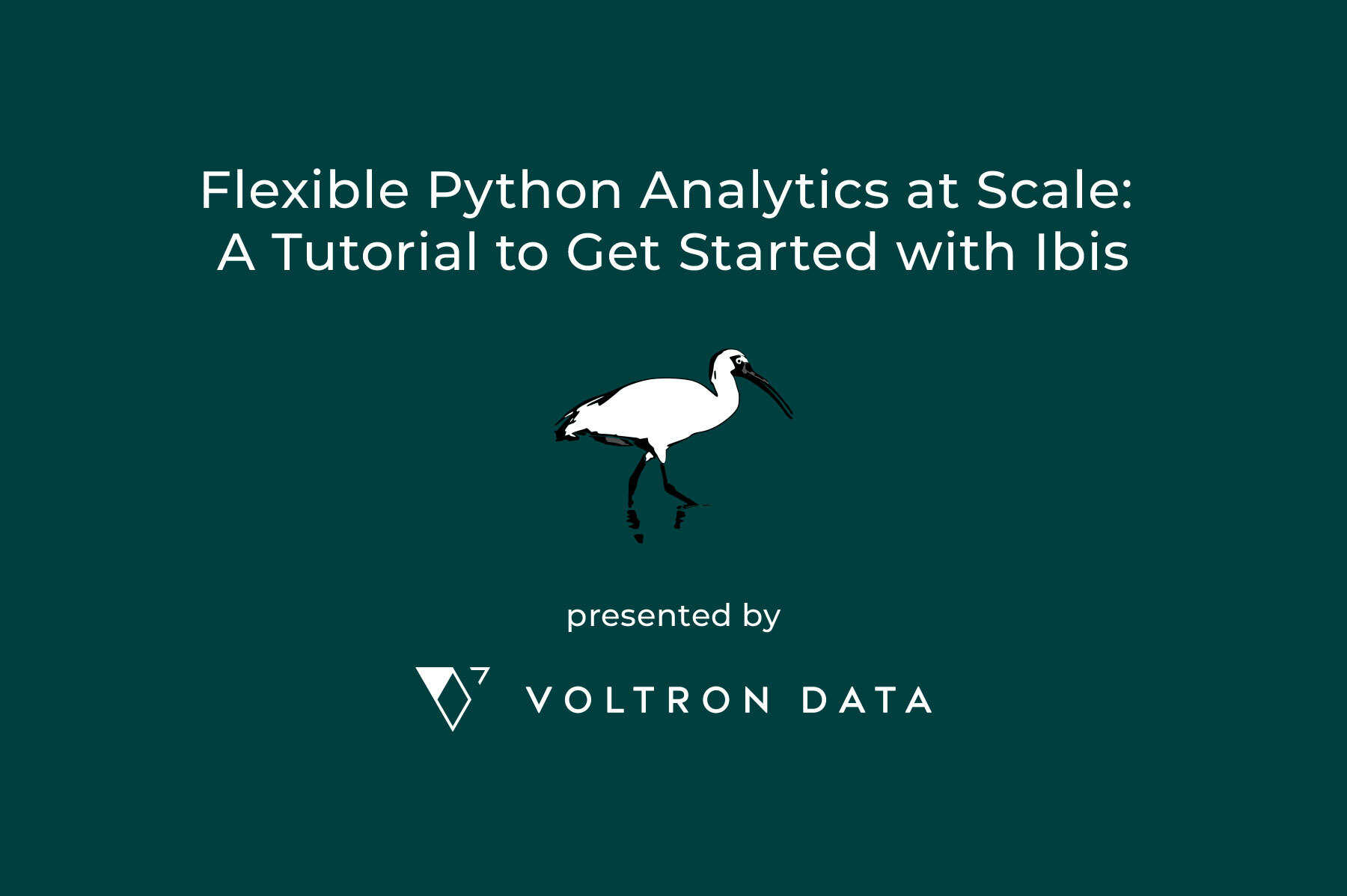 Webinar announcement graphics with the title: Flexible Python Analytics at Scale: A Tutorial to Get Started with Ibis, the Ibis project logo (a black and white ibis), and the text presented by Voltron Data.